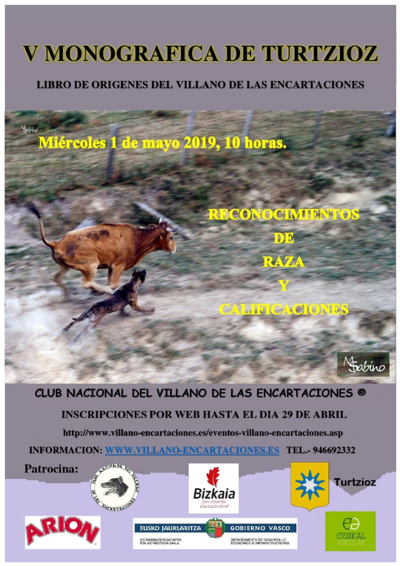 Cartel de V MONOGRAFICA DE TURTZIOZ